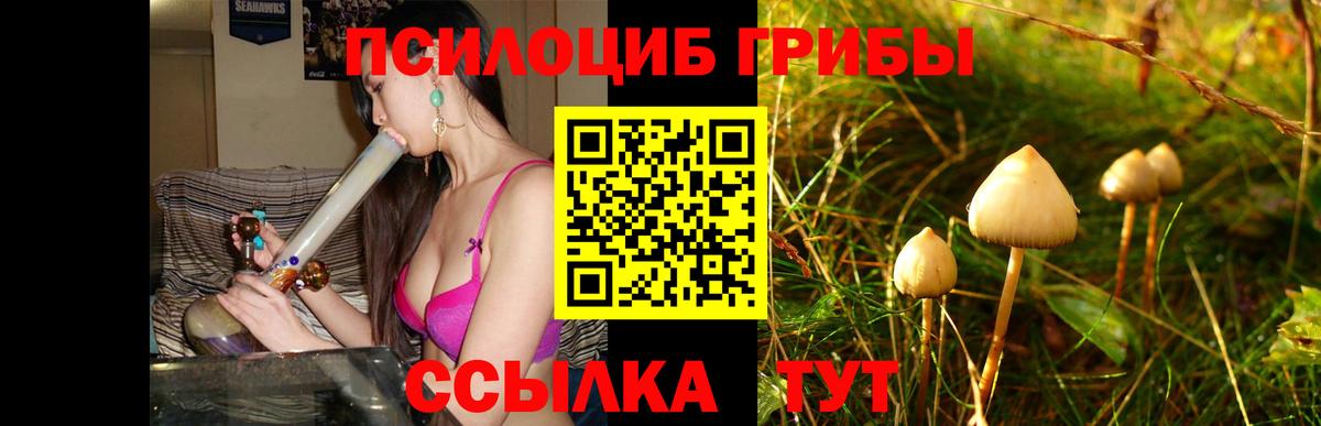 Осинники  Псилоцибиновые грибы GOLDEN TEACHER  Вход с VPN 